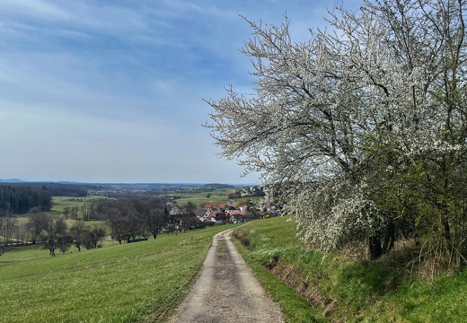 25-03-21 12-48-59 2489